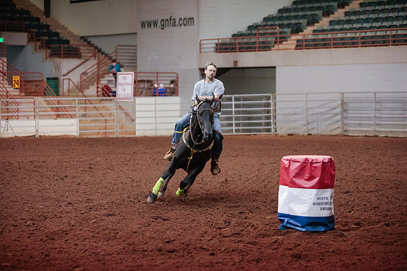www.ngaphoto.com 2015 Georgia Federation of Saddle Clubs Championship Horse Show