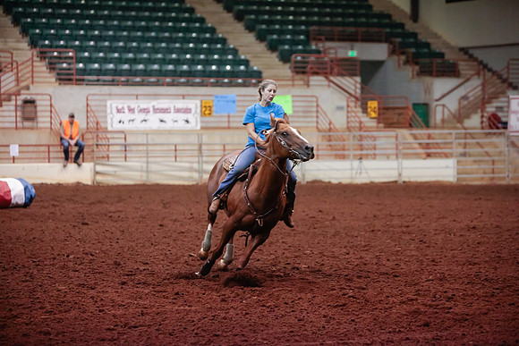 www.ngaphoto.com 2015 Georgia Federation of Saddle Clubs Championship Horse Show