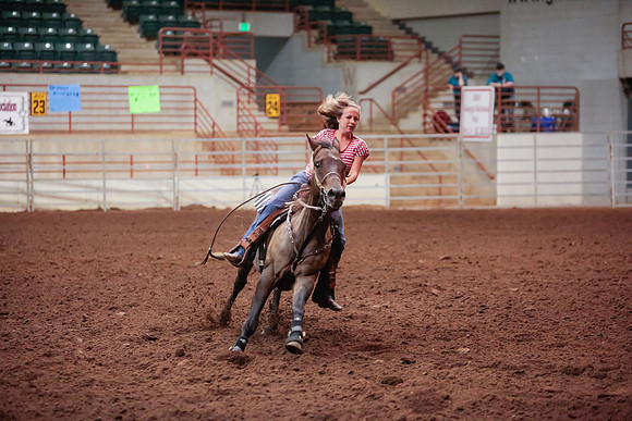 www.ngaphoto.com 2015 Georgia Federation of Saddle Clubs Championship Horse Show