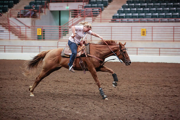 www.ngaphoto.com 2015 Georgia Federation of Saddle Clubs Championship Horse Show