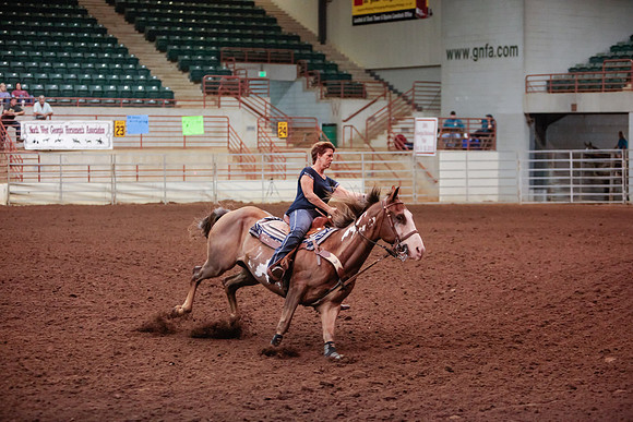 www.ngaphoto.com 2015 Georgia Federation of Saddle Clubs Championship Horse Show