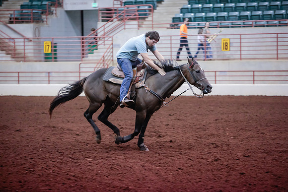 www.ngaphoto.com 2015 Georgia Federation of Saddle Clubs Championship Horse Show