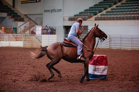 www.ngaphoto.com 2015 Georgia Federation of Saddle Clubs Championship Horse Show