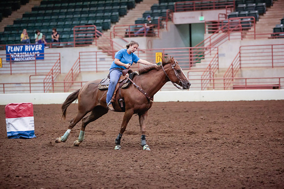 www.ngaphoto.com 2015 Georgia Federation of Saddle Clubs Championship Horse Show
