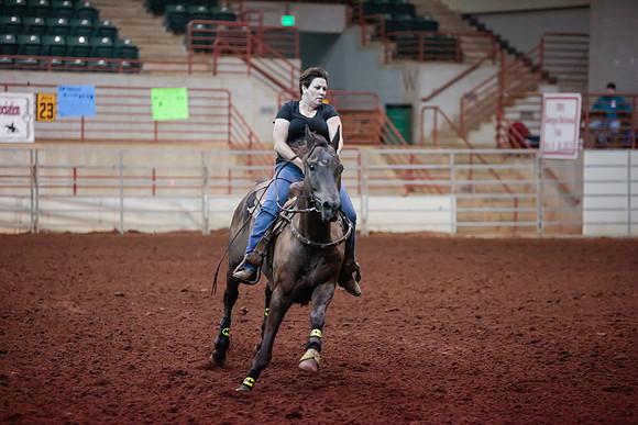 www.ngaphoto.com 2015 Georgia Federation of Saddle Clubs Championship Horse Show