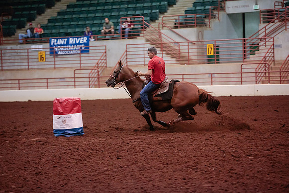 www.ngaphoto.com 2015 Georgia Federation of Saddle Clubs Championship Horse Show