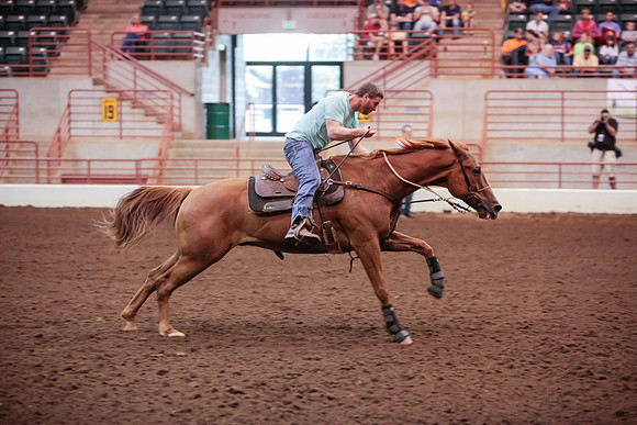 www.ngaphoto.com 2015 Georgia Federation of Saddle Clubs Championship Horse Show