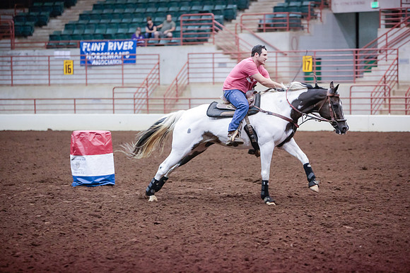 www.ngaphoto.com 2015 Georgia Federation of Saddle Clubs Championship Horse Show