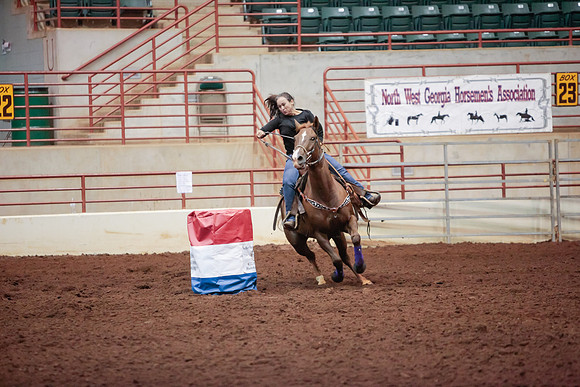 www.ngaphoto.com 2015 Georgia Federation of Saddle Clubs Championship Horse Show