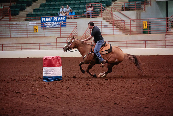 www.ngaphoto.com 2015 Georgia Federation of Saddle Clubs Championship Horse Show