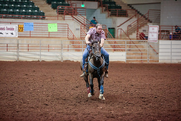 www.ngaphoto.com 2015 Georgia Federation of Saddle Clubs Championship Horse Show