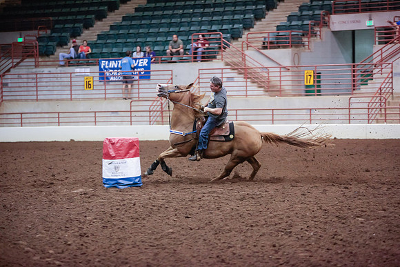 www.ngaphoto.com 2015 Georgia Federation of Saddle Clubs Championship Horse Show