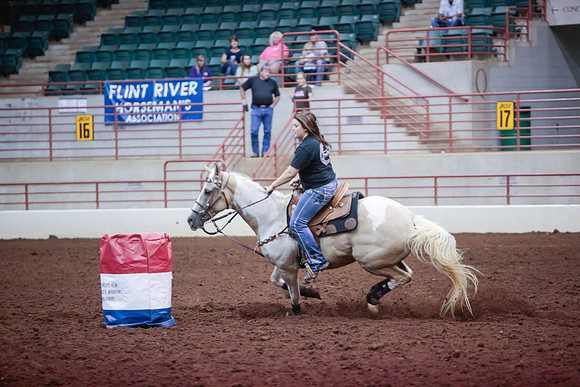 www.ngaphoto.com 2015 Georgia Federation of Saddle Clubs Championship Horse Show