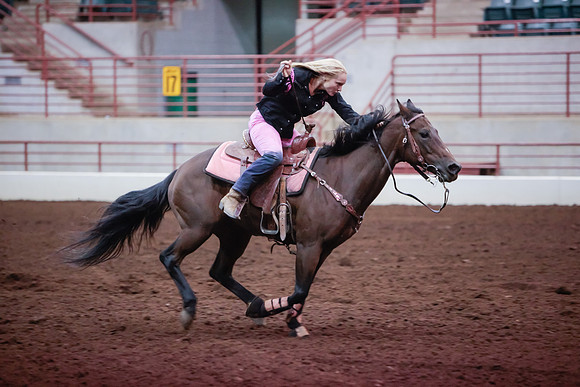 www.ngaphoto.com 2015 Georgia Federation of Saddle Clubs Championship Horse Show
