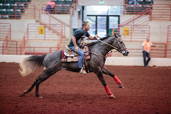 www.ngaphoto.com 2015 Georgia Federation of Saddle Clubs Championship Horse Show