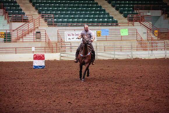 www.ngaphoto.com 2015 Georgia Federation of Saddle Clubs Championship Horse Show