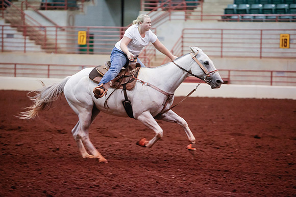 www.ngaphoto.com 2015 Georgia Federation of Saddle Clubs Championship Horse Show
