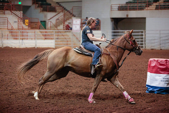 www.ngaphoto.com 2015 Georgia Federation of Saddle Clubs Championship Horse Show