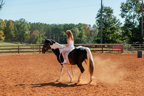 20241020-IMG_0953-2