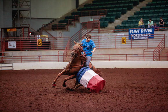 www.ngaphoto.com 2015 Georgia Federation of Saddle Clubs Championship Horse Show