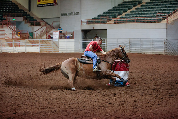 www.ngaphoto.com 2015 Georgia Federation of Saddle Clubs Championship Horse Show