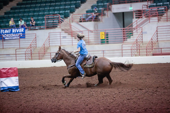 www.ngaphoto.com 2015 Georgia Federation of Saddle Clubs Championship Horse Show