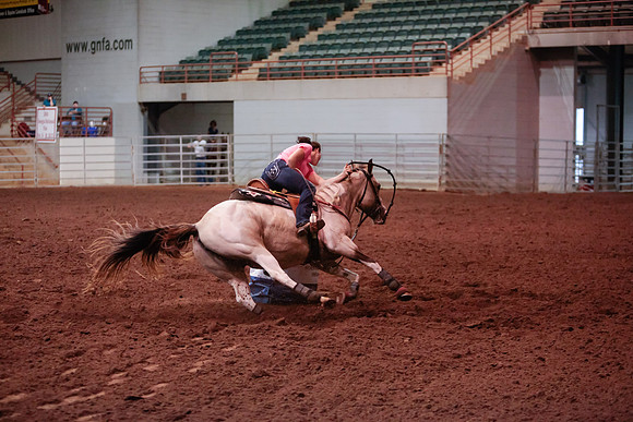 www.ngaphoto.com 2015 Georgia Federation of Saddle Clubs Championship Horse Show
