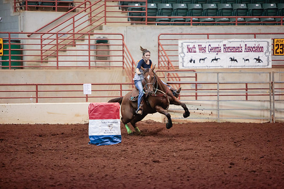 www.ngaphoto.com 2015 Georgia Federation of Saddle Clubs Championship Horse Show