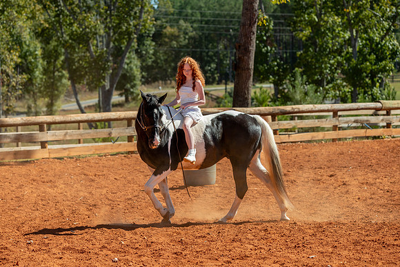 20241020-IMG_0983-2