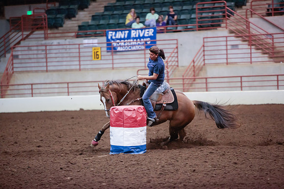 www.ngaphoto.com 2015 Georgia Federation of Saddle Clubs Championship Horse Show