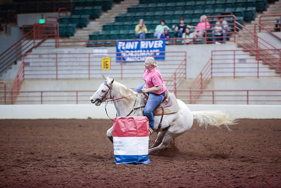 www.ngaphoto.com 2015 Georgia Federation of Saddle Clubs Championship Horse Show