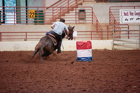 www.ngaphoto.com 2015 Georgia Federation of Saddle Clubs Championship Horse Show