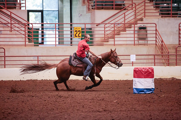www.ngaphoto.com 2015 Georgia Federation of Saddle Clubs Championship Horse Show