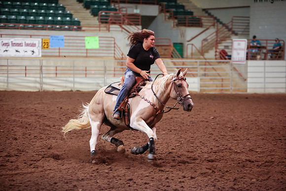 www.ngaphoto.com 2015 Georgia Federation of Saddle Clubs Championship Horse Show