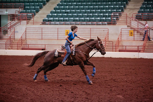 www.ngaphoto.com 2015 Georgia Federation of Saddle Clubs Championship Horse Show
