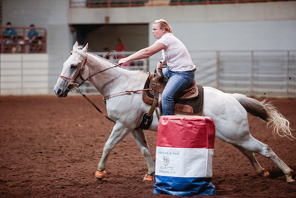 www.ngaphoto.com 2015 Georgia Federation of Saddle Clubs Championship Horse Show