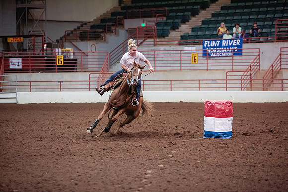 www.ngaphoto.com 2015 Georgia Federation of Saddle Clubs Championship Horse Show