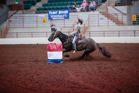 www.ngaphoto.com 2015 Georgia Federation of Saddle Clubs Championship Horse Show