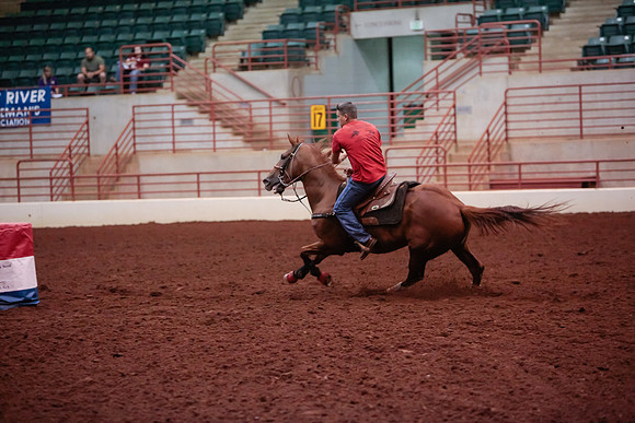 www.ngaphoto.com 2015 Georgia Federation of Saddle Clubs Championship Horse Show