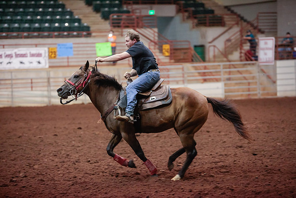 www.ngaphoto.com 2015 Georgia Federation of Saddle Clubs Championship Horse Show