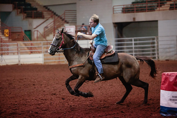 www.ngaphoto.com 2015 Georgia Federation of Saddle Clubs Championship Horse Show
