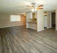 20240328-IMG_9617-Pano