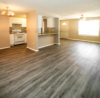 20240328-IMG_9614-Pano