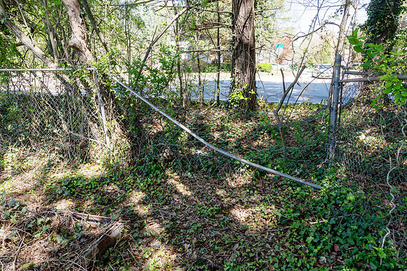 20240328-IMG_9631