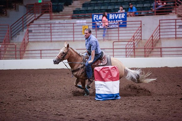 www.ngaphoto.com 2015 Georgia Federation of Saddle Clubs Championship Horse Show