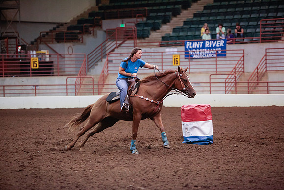 www.ngaphoto.com 2015 Georgia Federation of Saddle Clubs Championship Horse Show