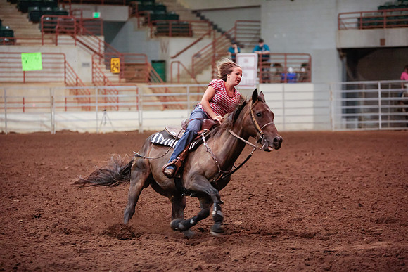 www.ngaphoto.com 2015 Georgia Federation of Saddle Clubs Championship Horse Show