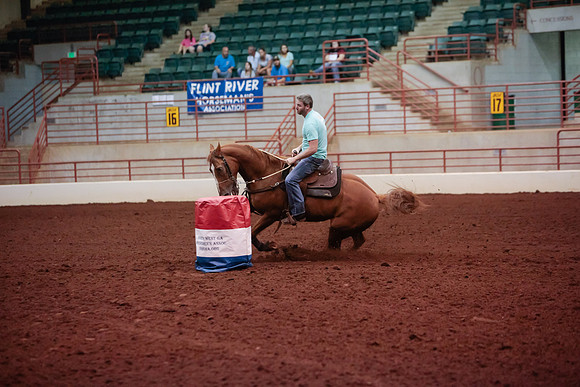www.ngaphoto.com 2015 Georgia Federation of Saddle Clubs Championship Horse Show