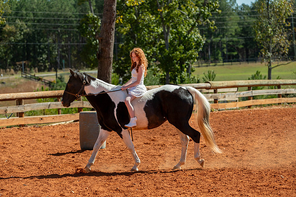 20241020-IMG_0963-2