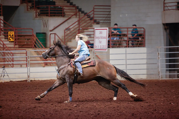 www.ngaphoto.com 2015 Georgia Federation of Saddle Clubs Championship Horse Show